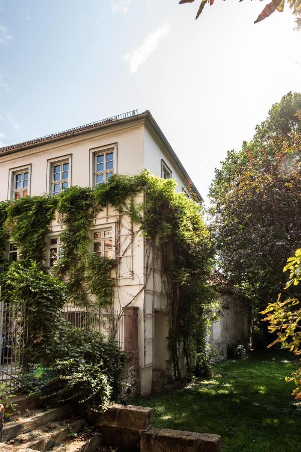 Ferienwohnung Am Dom ناومبورغ المظهر الخارجي الصورة