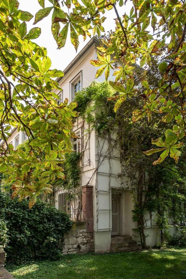 Ferienwohnung Am Dom ناومبورغ المظهر الخارجي الصورة